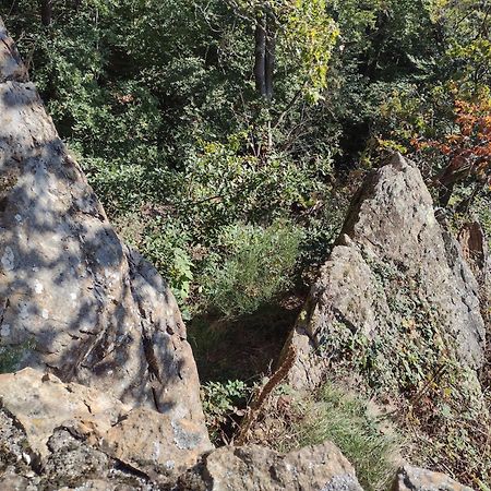 فيلا "Kleinstes Haus Von Blankenburg" Urlaub In Einem Einzigartigen Baudenkmal بلانكنبرغ المظهر الخارجي الصورة