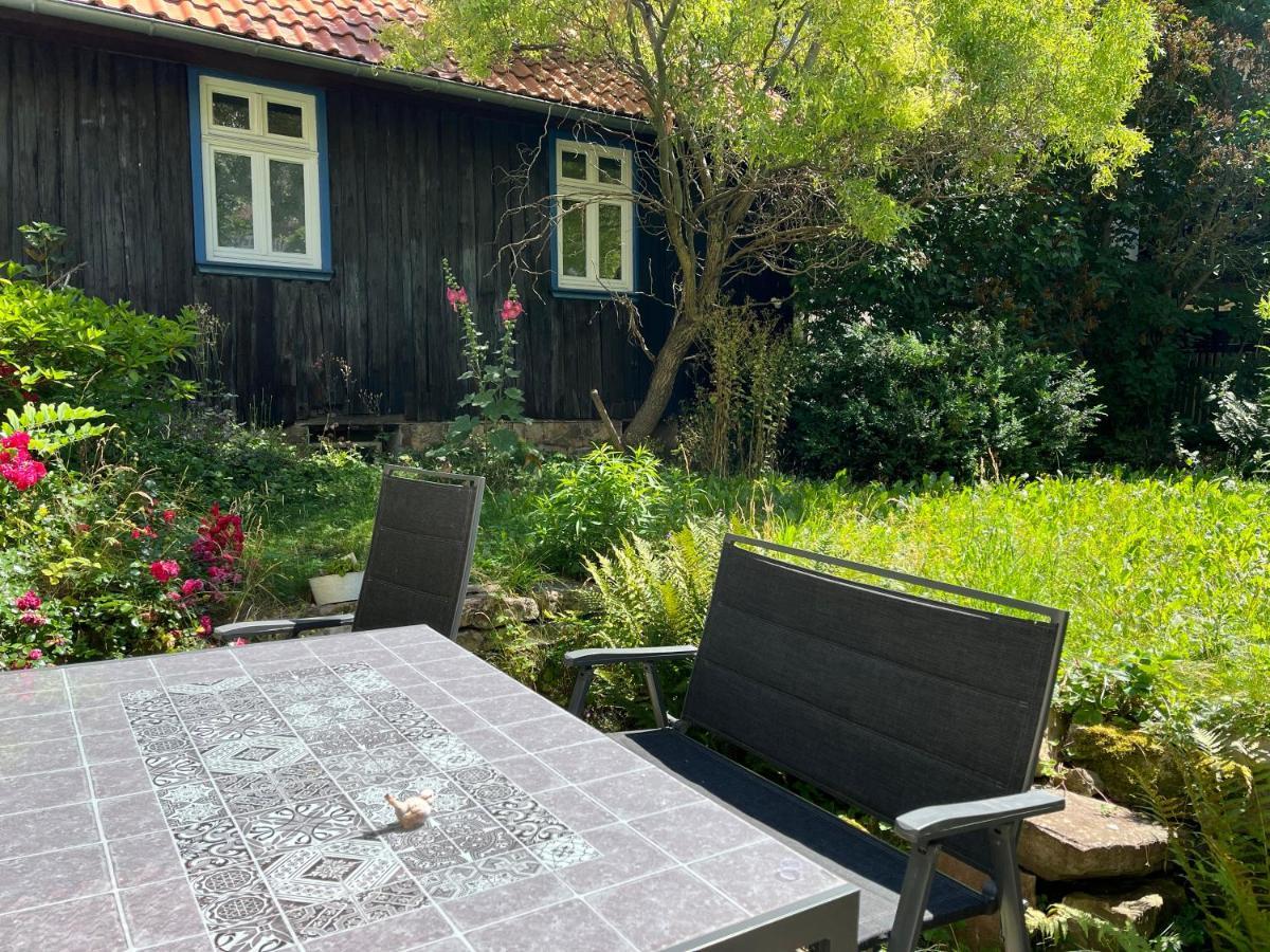 فيلا "Kleinstes Haus Von Blankenburg" Urlaub In Einem Einzigartigen Baudenkmal بلانكنبرغ المظهر الخارجي الصورة