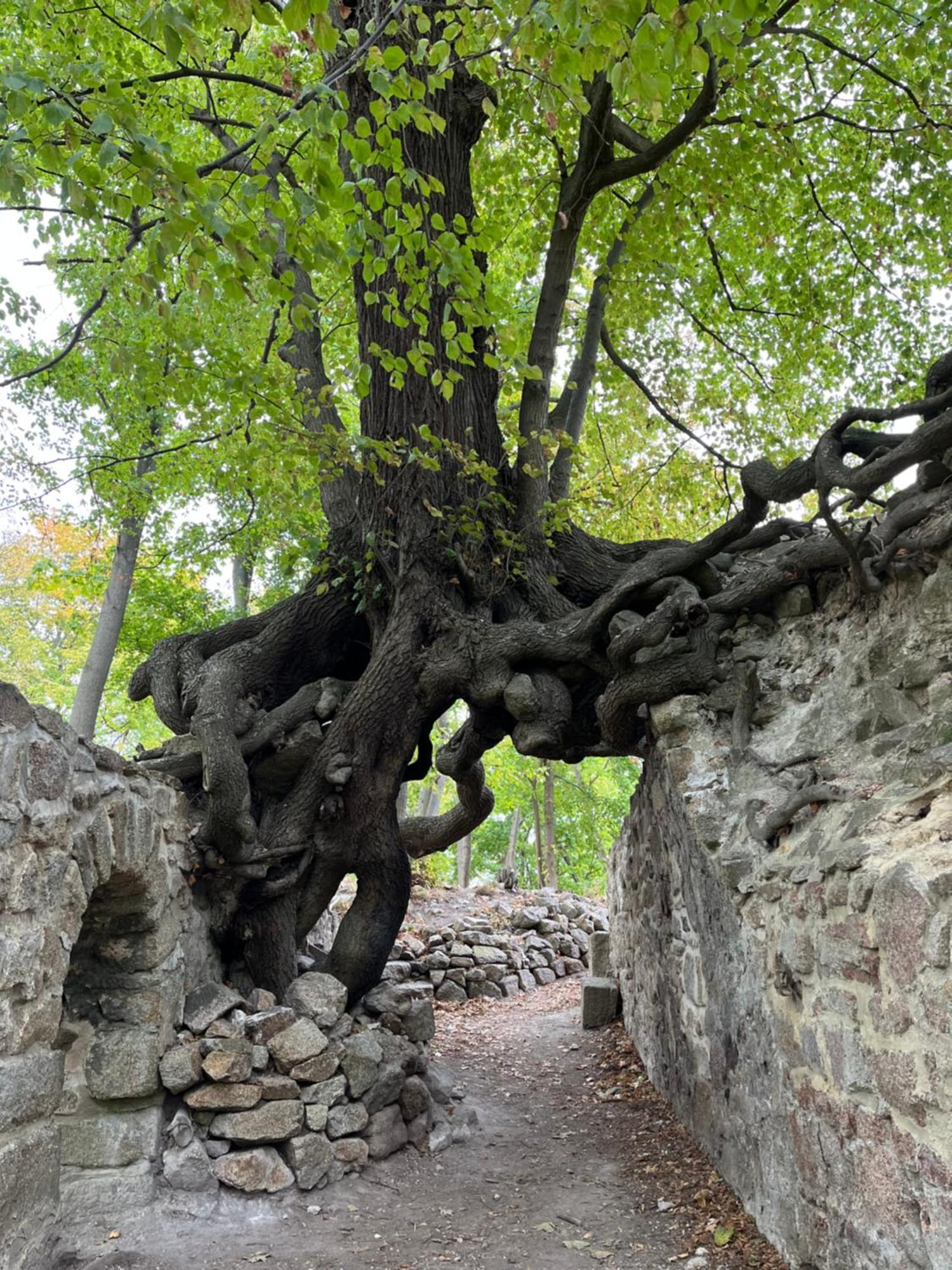 فيلا "Kleinstes Haus Von Blankenburg" Urlaub In Einem Einzigartigen Baudenkmal بلانكنبرغ المظهر الخارجي الصورة